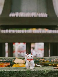 Lucky cats statue inside gotokuji temple /neko temple in tokyo, japan. 