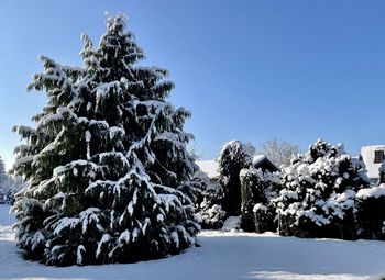 Low angle view of snow covered landscape against clear blue sky