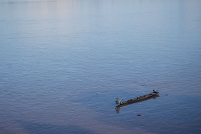 High angle view of people in sea