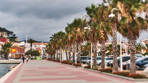 Street amidst trees and plants in city against sky