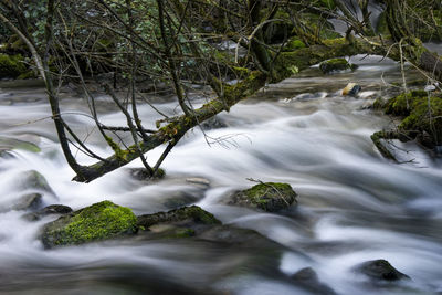 Scenic view of waterfall in forest