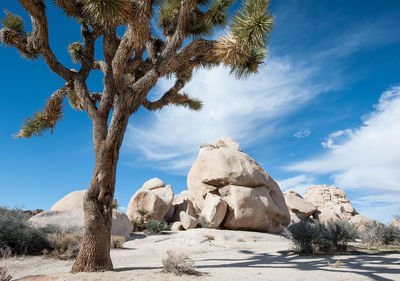 Low angle view of rocks on landscape against sky