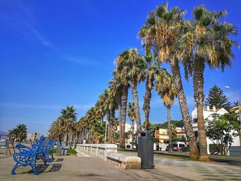 Palm trees on street against blue sky