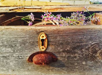 Close-up of rusty wood