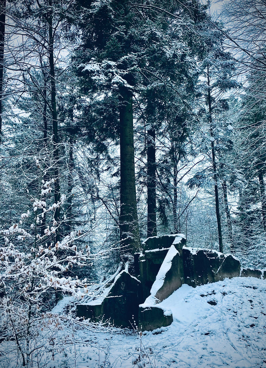 VIEW OF SNOW COVERED LAND