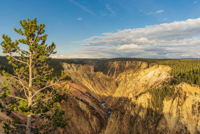 Scenic view of landscape against cloudy sky