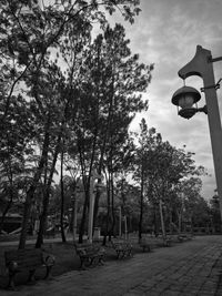 Street amidst trees in park against sky