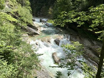 Scenic view of stream flowing through rocks in forest