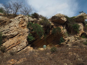 Plants growing on rock against sky