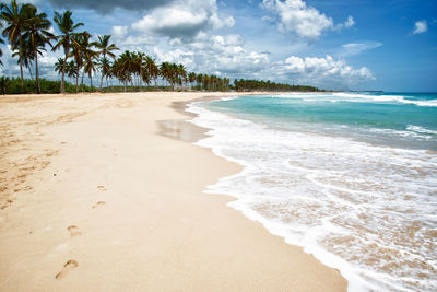 Punta cana dominican republic paradise beach landscape