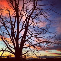 Low angle view of silhouette bare tree against sky