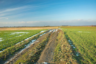 A dirt road through green fields and clouds on a blue sky, snow remains on the field