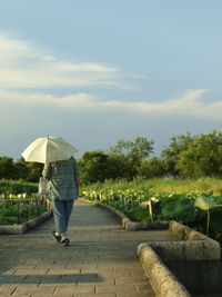 Rear view of man walking on footpath against sky