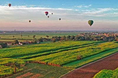 Distant view of hot air balloon on field