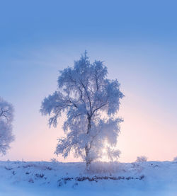 Tree on snow covered field against clear sky