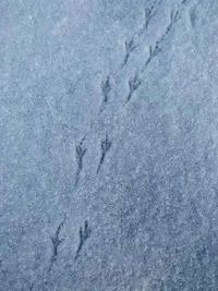 High angle view of footprints in snow