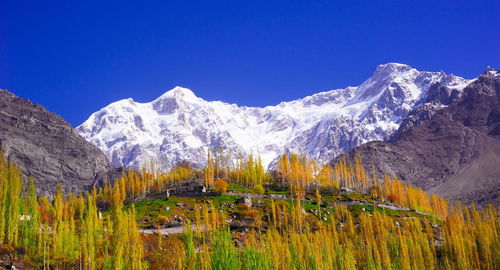 Scenic view of snowcapped mountains against clear blue sky