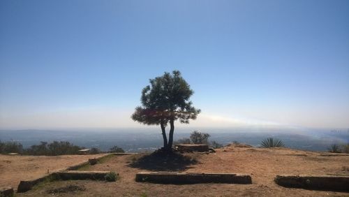 Scenic view of landscape against clear sky