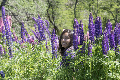 Purple flowering plants in field