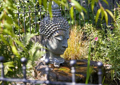 Statue of buddha against plants