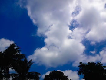 Low angle view of trees against cloudy sky