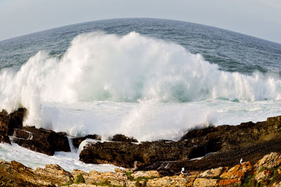 Scenic view of waves splashing on shore