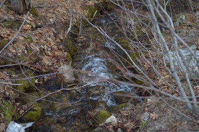 High angle view of waterfall in forest