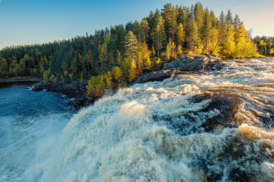 Scenic view of river flowing amidst trees against sky