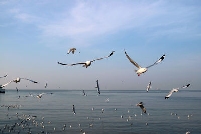 Seagulls flying over sea against sky