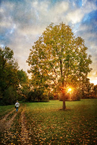 Rear view of woman walking in park against cloudy sky during autumn at sunset