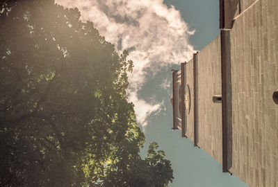 Panoramic shot of trees and buildings against sky