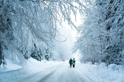 People walking on snowy road in winter forest