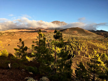 Scenic view of landscape against sky