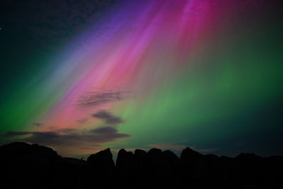 Silhouette trees against sky at night