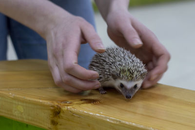 Close-up of hand holding hands on table