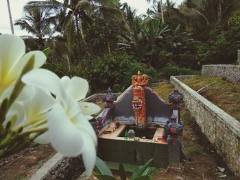 Statue of palm trees