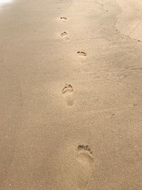 High angle view of footprints on sand at beach