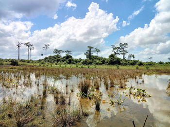 Scenic view of landscape against sky