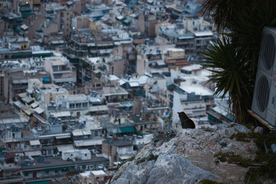 High angle view of buildings in city