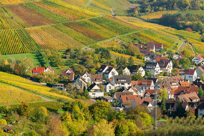 High angle view of trees and houses in village