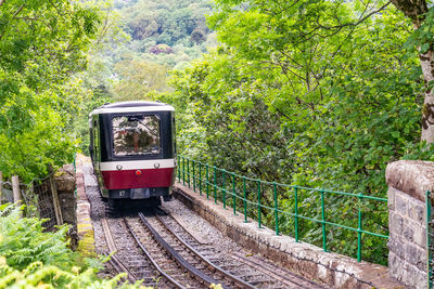 View of train on railroad track