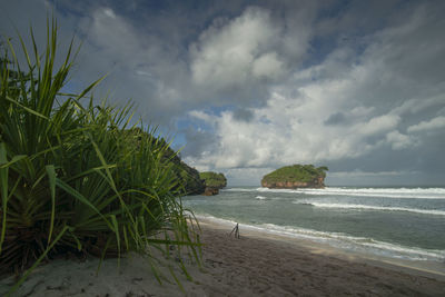 Scenic view of sea against sky