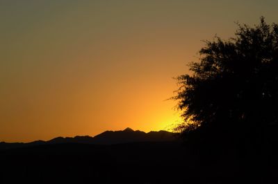 Silhouette trees against clear sky during sunset