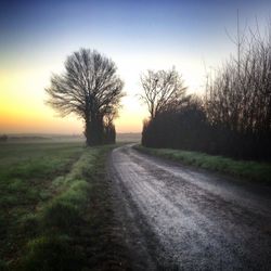 Road passing through field