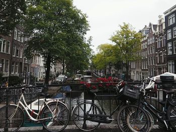 Cars parked in front of building