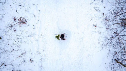 High angle view of bride wearing wedding dress while standing on snow