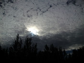 Low angle view of silhouette trees against sky