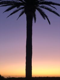 Silhouette palm tree against romantic sky at sunset