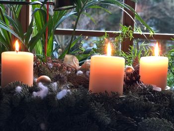 Close-up of illuminated tea light candles on tree