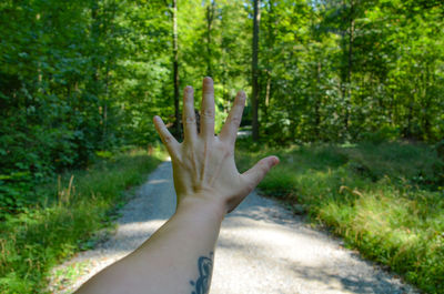 Cropped image of tattooed hand gesturing against trees